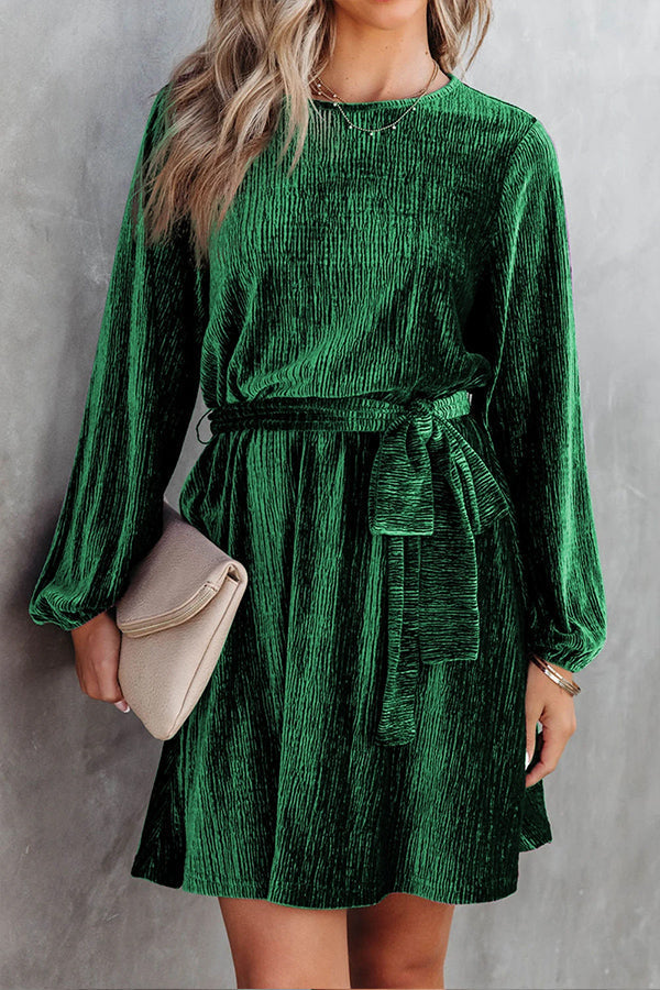 LM | Long-sleeved velvet mini dress