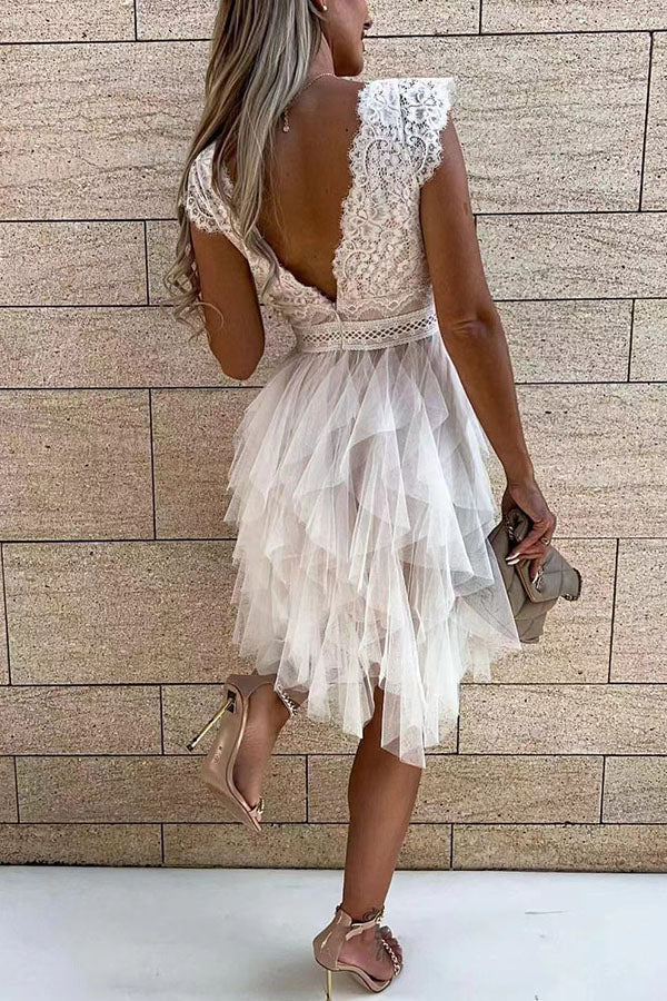 LM | V-neckline Sleeveless lace midi dress