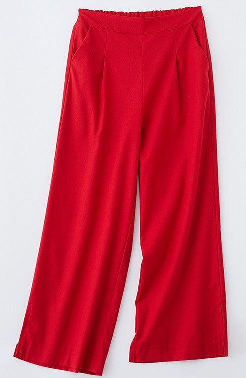 Alluring and Refined Pants
